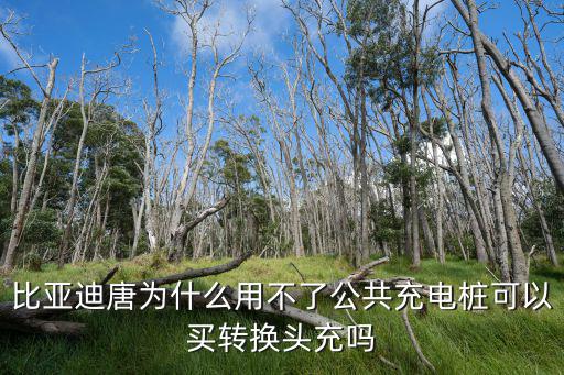 在河南買比亞迪唐怎么充電,比亞迪唐在家怎么充電