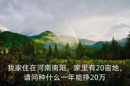 河南的農田一年能收入多少,普通農民一年人均收入多少錢