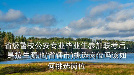 河南公安聯考怎么選崗位,該如何挑選崗位