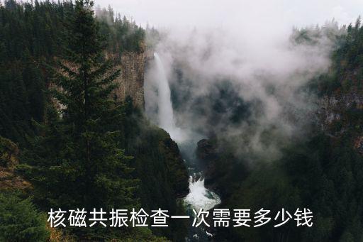 核磁共振檢查一次需要多少錢