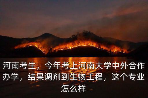 河南大學中外合作計算機怎么樣,這個專業怎么樣
