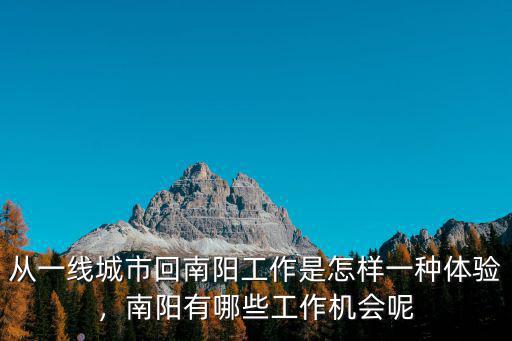 回南陽怎么會,回南陽老家上牌照