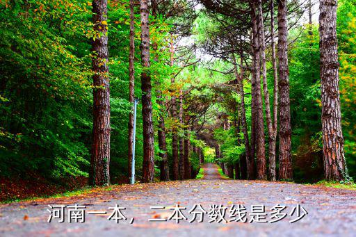 二本分數線是多少分河南,大概考多少分能上二本