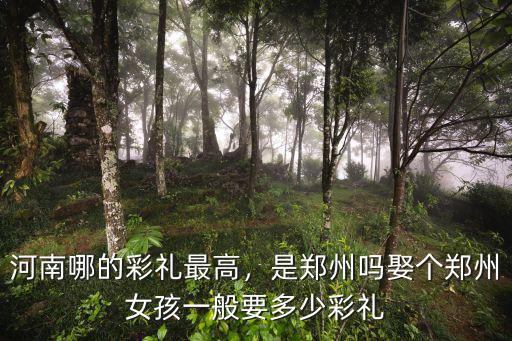 河南西華縣定親彩禮要多少,河南定親彩禮飆升至16萬
