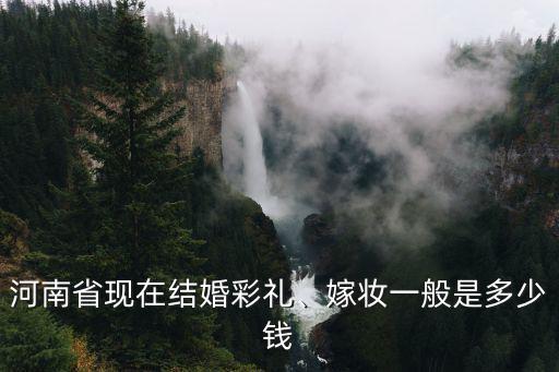 河南結婚隨禮多少合適,大家覺得多少合適