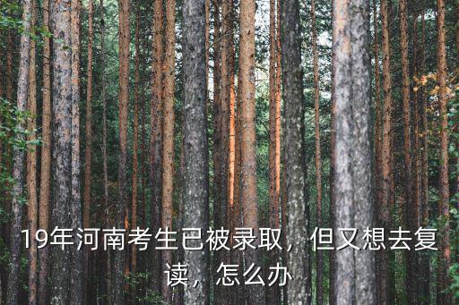 19年河南考生已被錄取，但又想去復讀，怎么辦