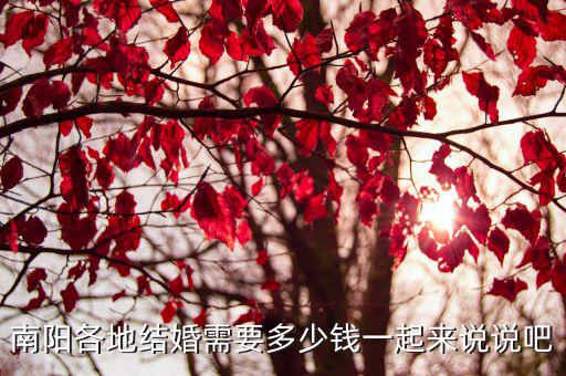 南陽西峽結婚彩禮多少錢,南陽各地結婚需要多少錢