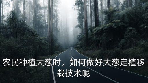 開封哪里種植大蔥技術,農(nóng)民種植大蔥時