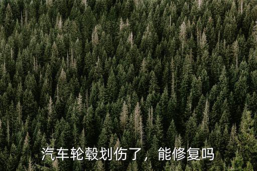 洛陽(yáng)哪里有修汽車輪轂,汽車輪轂出現(xiàn)裂紋
