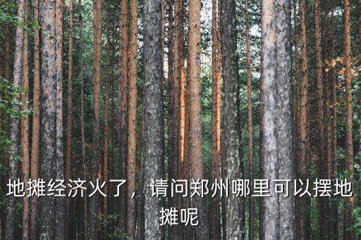 地?cái)偨?jīng)濟(jì)火了，請(qǐng)問(wèn)鄭州哪里可以擺地?cái)偰? class=