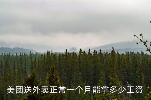河南桐柏美團(tuán)外賣單價怎么樣,美團(tuán)外賣單價低
