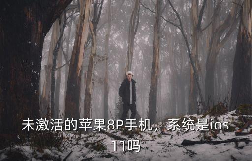 未激活的蘋果8P手機，系統是ios11嗎