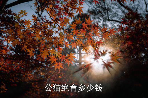 許昌貓咪絕育多少錢,公貓絕育多少錢