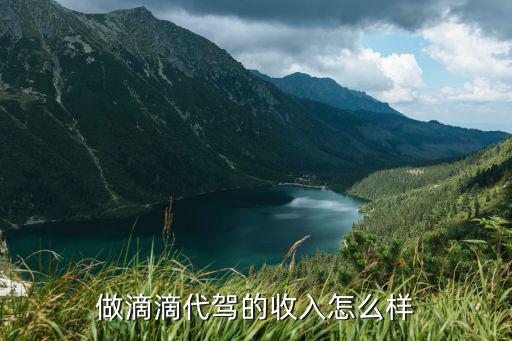 鶴壁市淇濱區滴滴代駕生意怎么樣,做滴滴代駕的收入怎么樣
