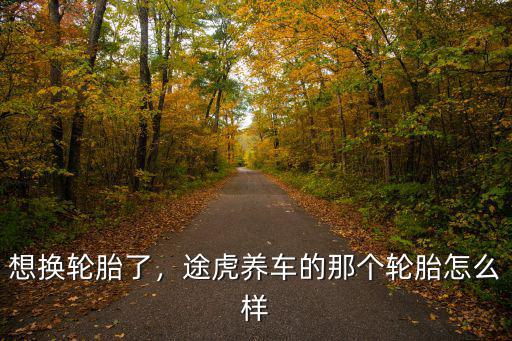 鄭州市途虎養車換輪胎怎么樣,途虎養車的那個輪胎怎么樣