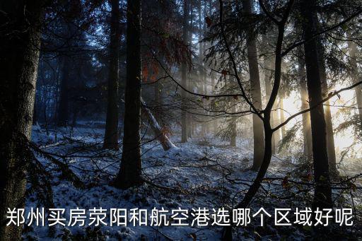 鄭州航空港區(qū)哪里買房好,現(xiàn)在在鄭州新鄭港區(qū)買房好嗎
