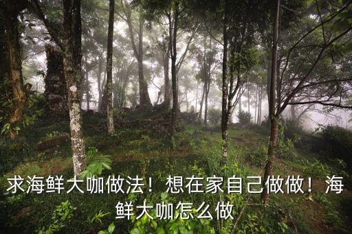 求海鮮大咖做法！想在家自己做做！海鮮大咖怎么做
