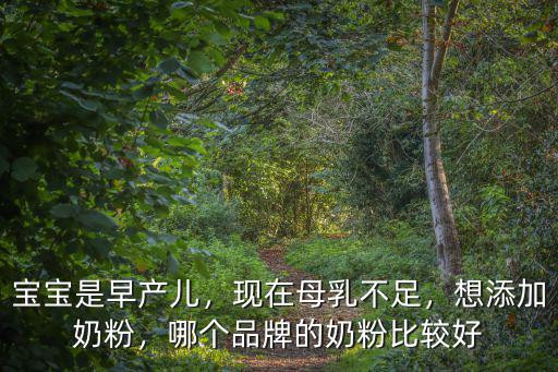 寶寶是早產(chǎn)兒，現(xiàn)在母乳不足，想添加奶粉，哪個品牌的奶粉比較好