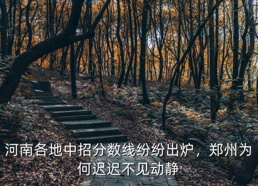 河南各地中招分數(shù)線紛紛出爐，鄭州為何遲遲不見動靜