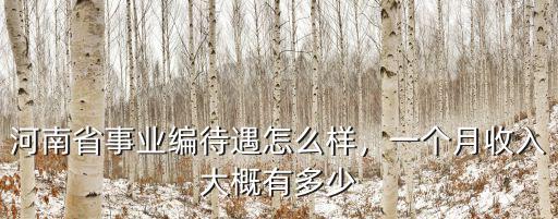 河南省事業編待遇怎么樣，一個月收入大概有多少