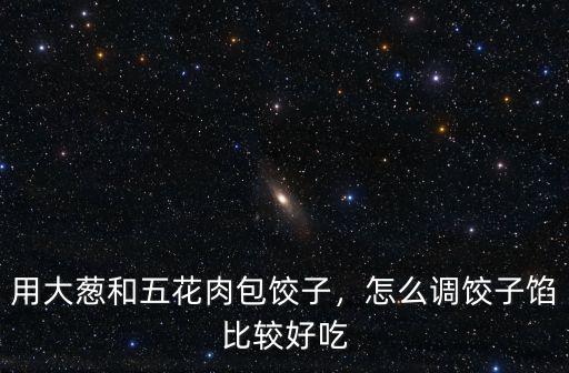 信陽豬肉大蔥餃子餡怎么調,怎么調餃子餡比較好吃