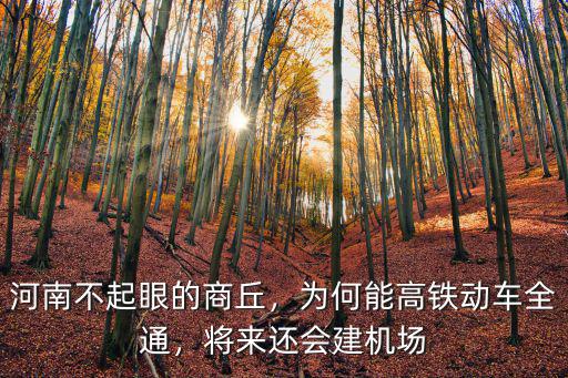 河南商丘虞城伊尹小學怎么樣,河南不起眼的商丘