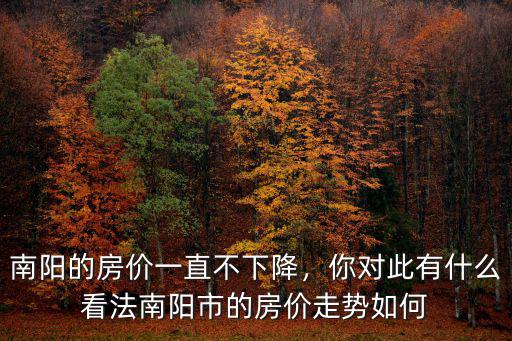 南陽東北新區的房價多少,南陽的房價一直不下降