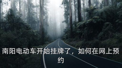 南陽怎么辦理電動車牌照,南陽市電動車怎么上牌