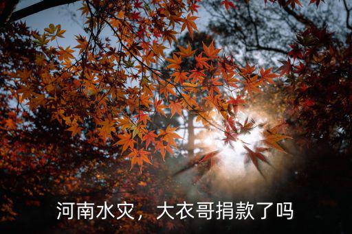 河南水災泰康捐了多少錢,這次河南水災都捐了多少