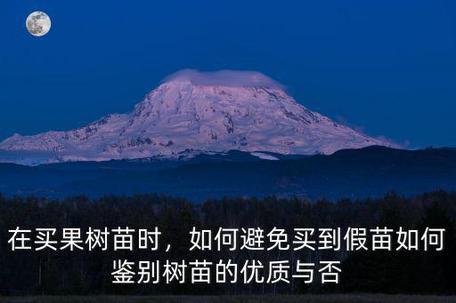 河南果樹苗在哪里買,在哪里買果樹苗比較靠譜