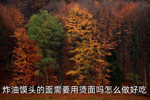 河南用油炸的面餅怎么做好吃,河南商丘燒渣餅怎么做