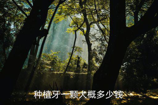 漯河種牙多少一棵,種一顆牙要多少錢