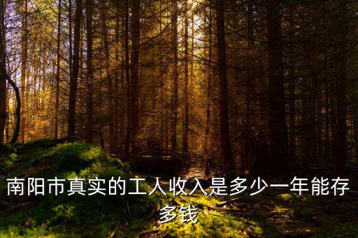 南陽市中心單間一個月多少錢,在南陽市一個月工資多少夠花