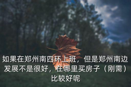 如果在鄭州南四環(huán)上班，但是鄭州南邊發(fā)展不是很好，在哪里買房子（剛需）比較好呢