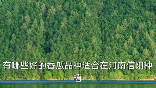 有哪些好的香瓜品種適合在河南信陽種植