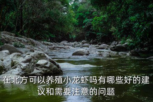 安陽哪里有養(yǎng)殖小龍蝦,在北方可以養(yǎng)殖小龍蝦嗎