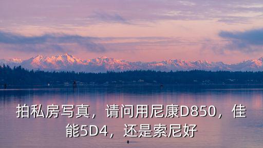 拍私房寫真，請問用尼康D850，佳能5D4，還是索尼好