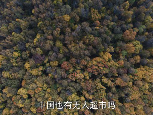 中國也有無人超市嗎