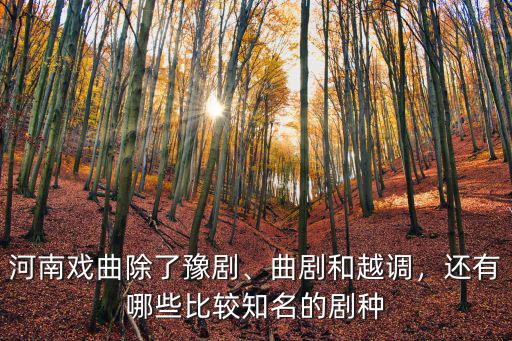 河南戲曲除了豫劇、曲劇和越調，還有哪些比較知名的劇種