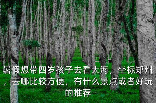 暑假想帶四歲孩子去看大海，坐標鄭州，去哪比較方便，有什么景點或者好玩的推薦
