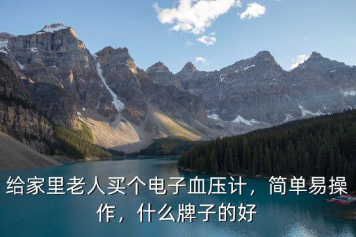 給家里老人買個(gè)電子血壓計(jì)，簡單易操作，什么牌子的好