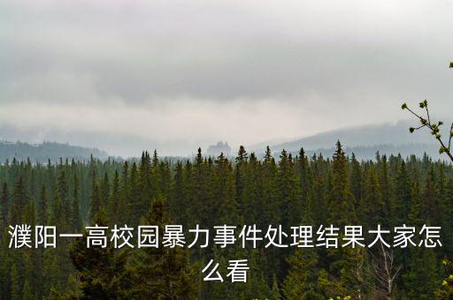 濮陽一高校園暴力事件處理結果大家怎么看
