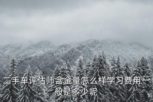 開封二手車評估師怎么收費(fèi),二手車評估師含金量怎么樣