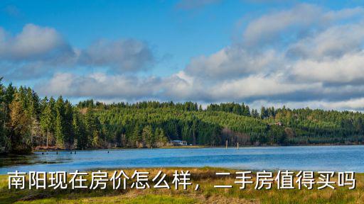 南陽李德森現在怎么樣,南陽現在房價怎么樣
