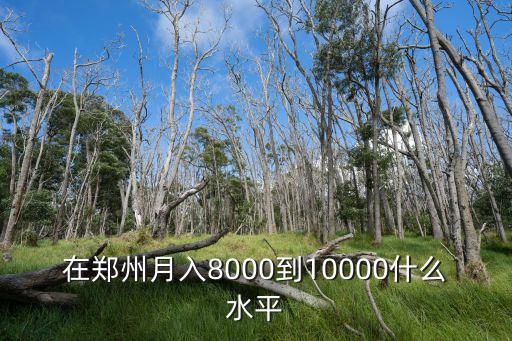 鄭州正常工資多少,在鄭州月入過萬是什么水平