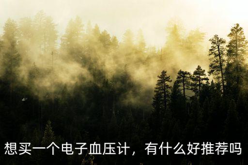 新鄉市哪里有售電子血壓計,給家里老人買個電子血壓計
