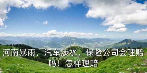 河南暴雨，汽車涉水，保險公司會理賠嗎！怎樣理賠