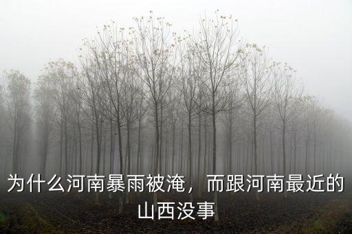 河南暴雨糧庫怎么辦,河南作為我國的糧倉之一