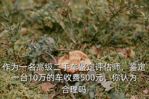作為一名高級二手車鑒定評估師，鑒定一臺10萬的車收費500元，你認為合理嗎