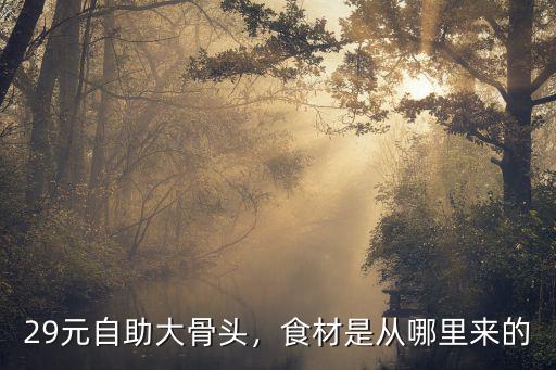 商丘哪里有29元自助大骨頭店,29自助大骨頭店有利潤嗎